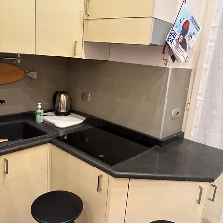 Cucciola Arlecchino Apartment Naples